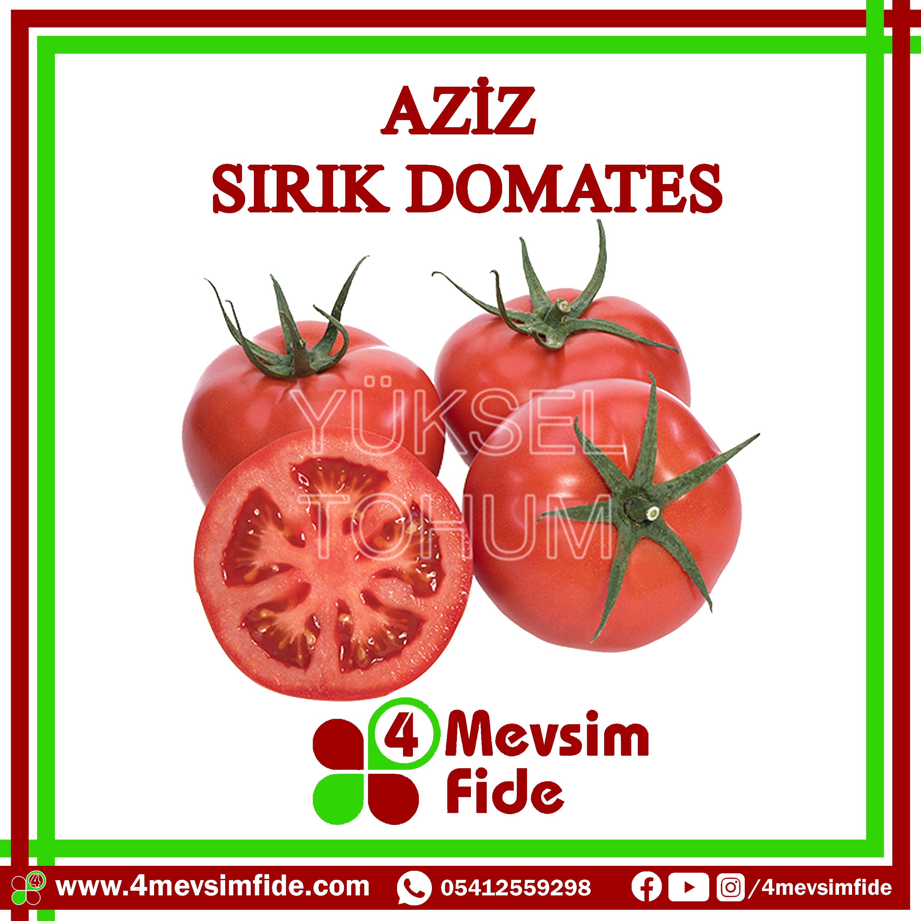 Aziz F1 Sırık Domates